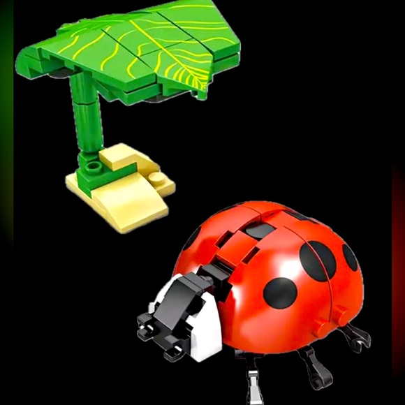Ladybug 🐞 Insect Series Bug Collection - Picture 2 of 4